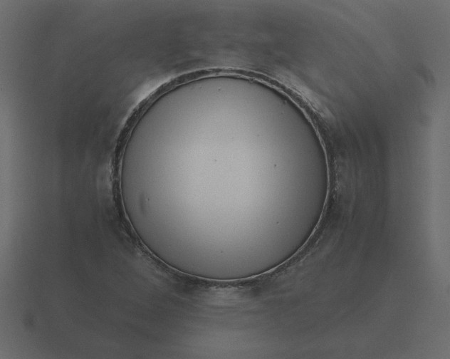 X0000116601264200912241707