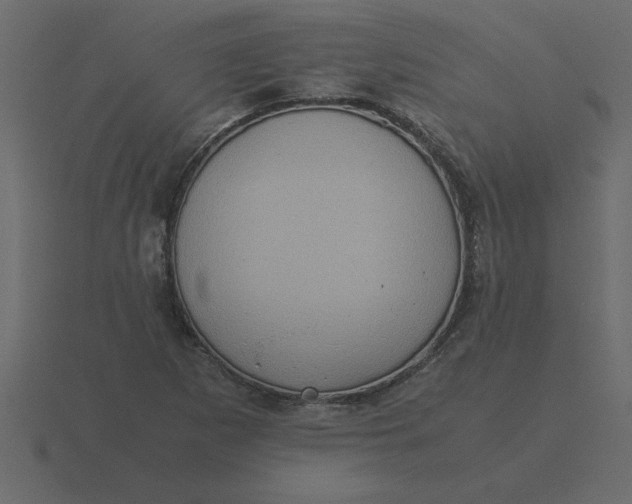 X0000116601265200912241707