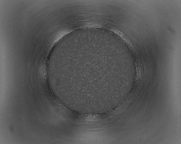 X0000116601266200912241707