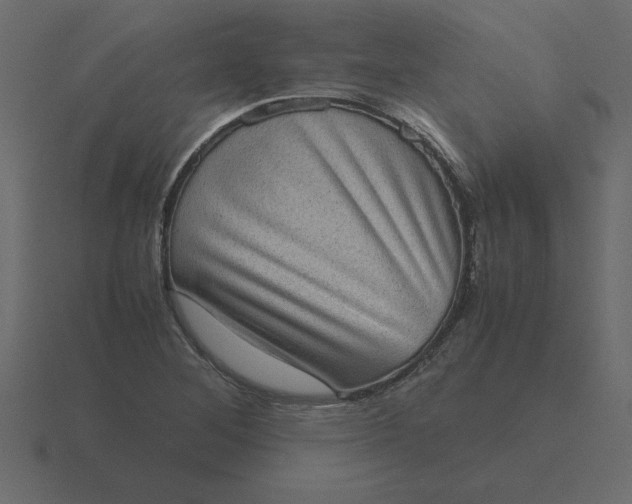 X0000116601268200912241707