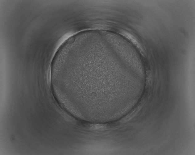 X0000116601275200912241706