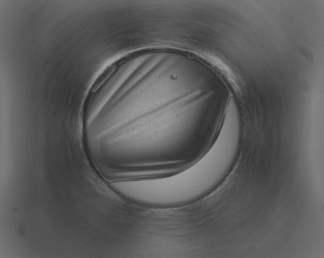X0000116601280200912241706