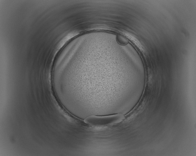 X0000116601282200912241706