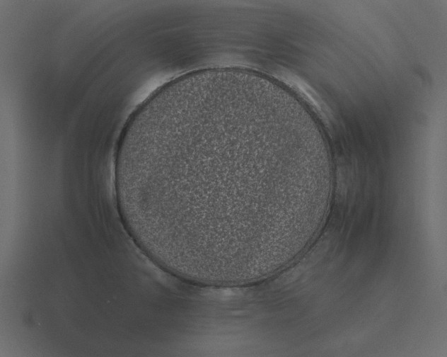 X0000116601286200912241706