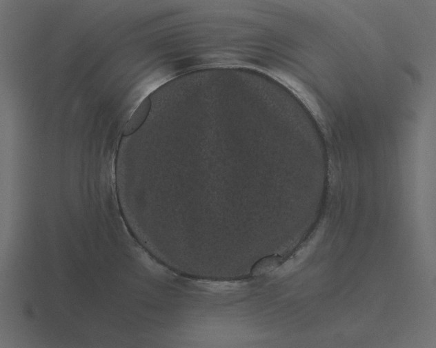 X0000116601289200912241706