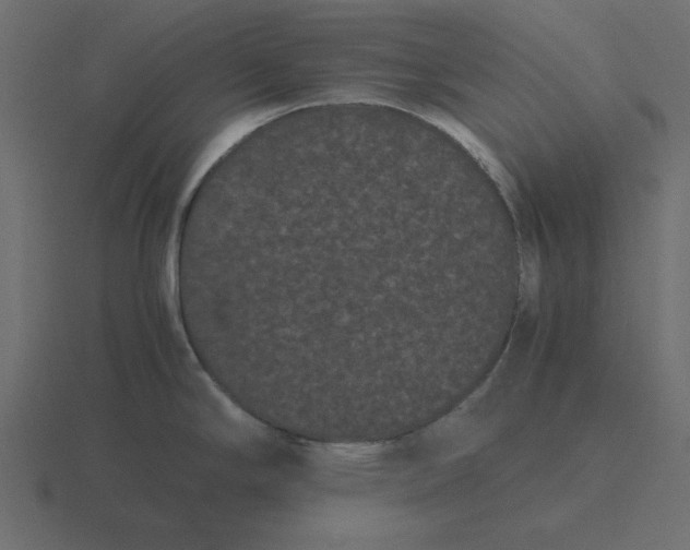 X0000116601294200912241706