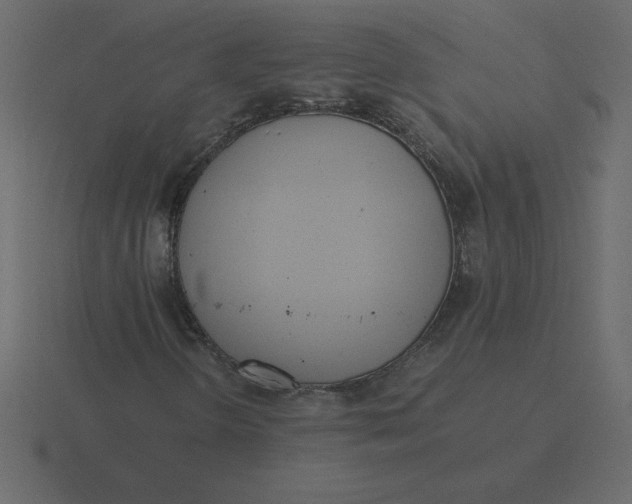 X0000116601298200912241706