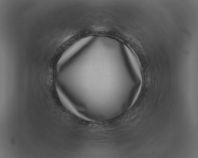 X0000116601301200912241706