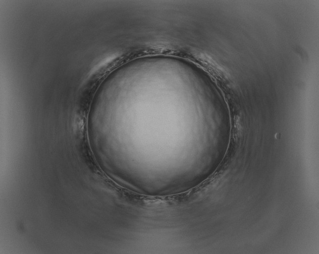 X0000116601302200912241706