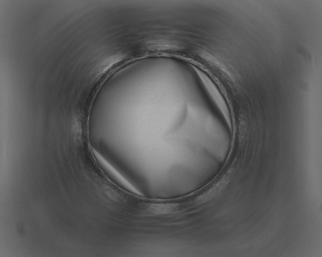X0000116601305200912241706