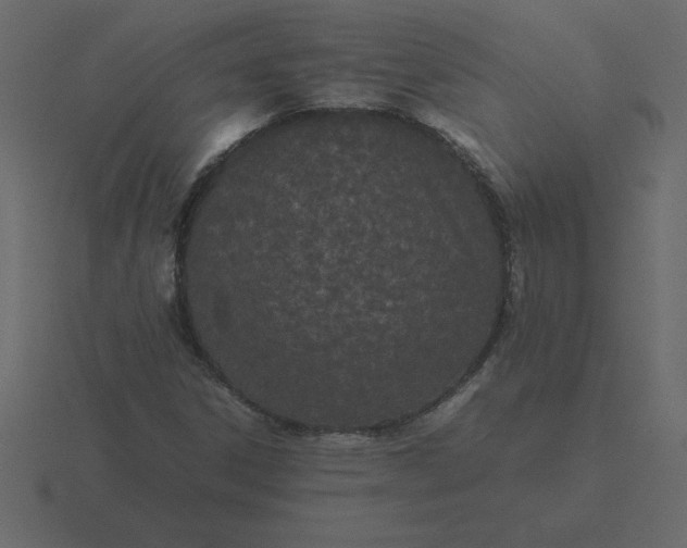 X0000116601306200912241706