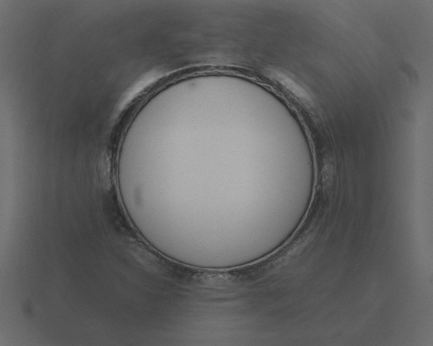 X0000116601310200912241706