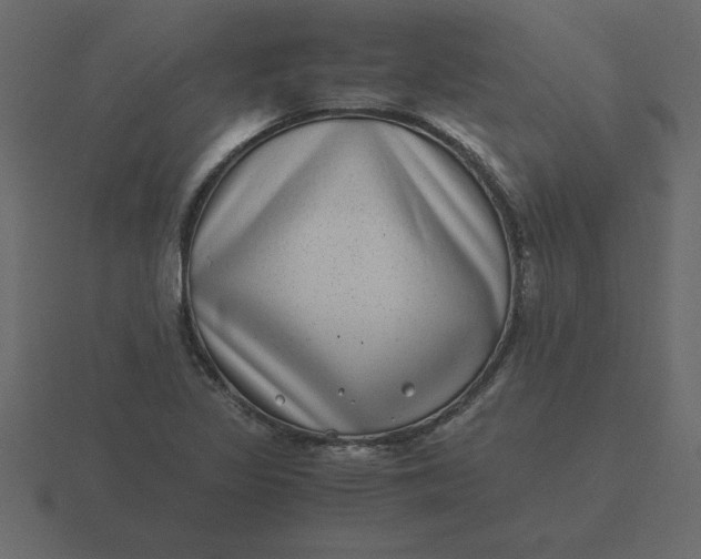 X0000116601317200912241706
