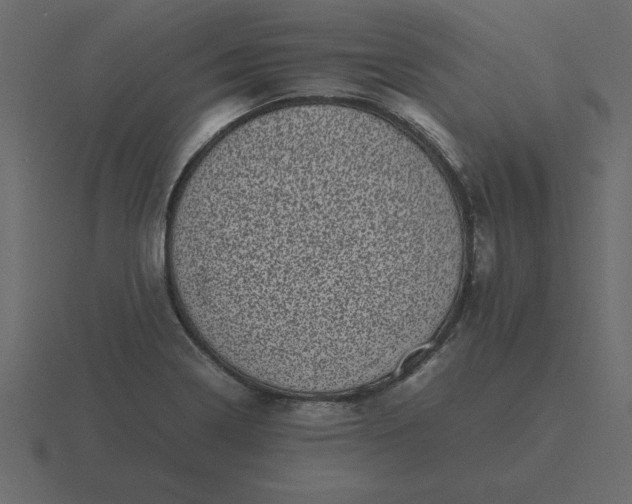 X0000116601322200912241706