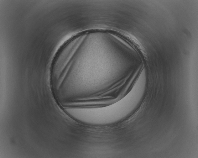 X0000116601326200912241706