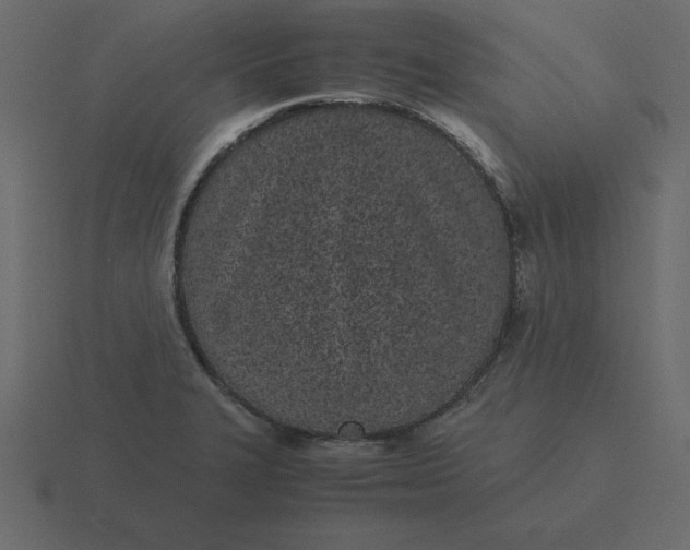 X0000116601327200912241706