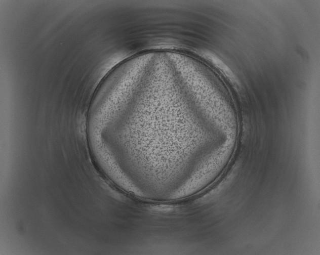 X0000116601329200912241706