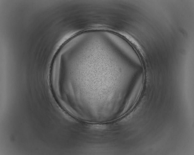X0000116601333200912241706