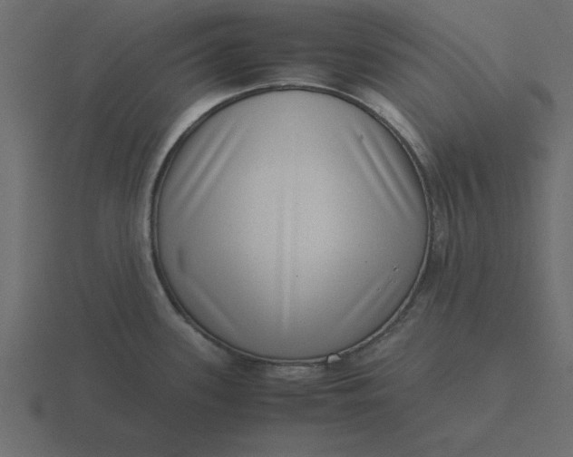 X0000116601339200912241706