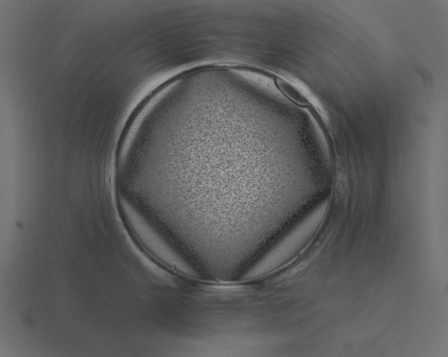 X0000116601343200912241706