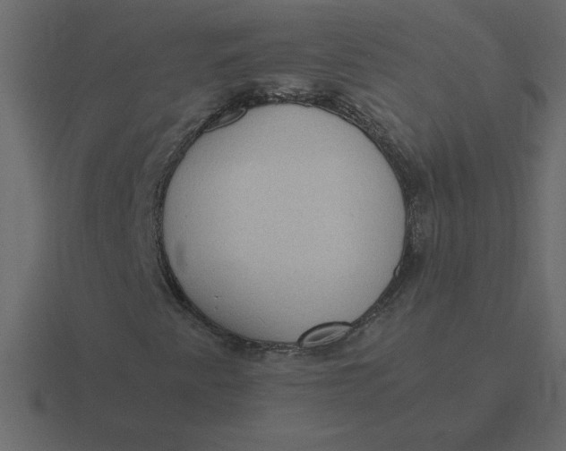 X0000116601345200912241706