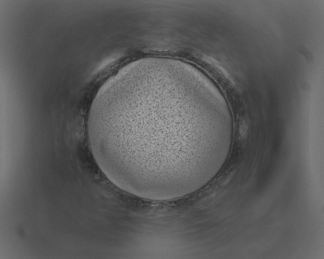 X0000116601350200912241705