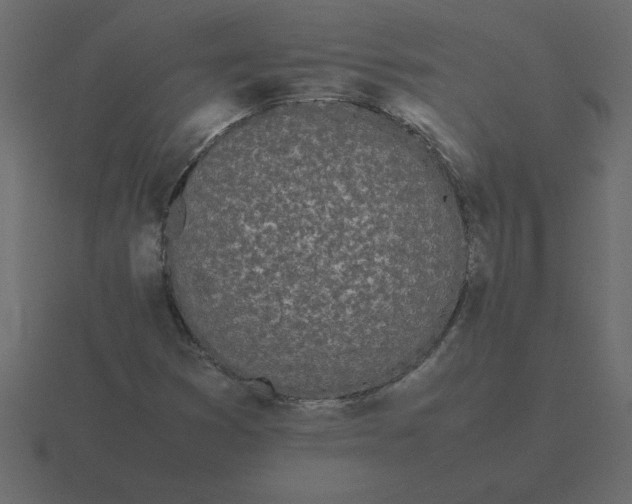 X0000116601353200912241705