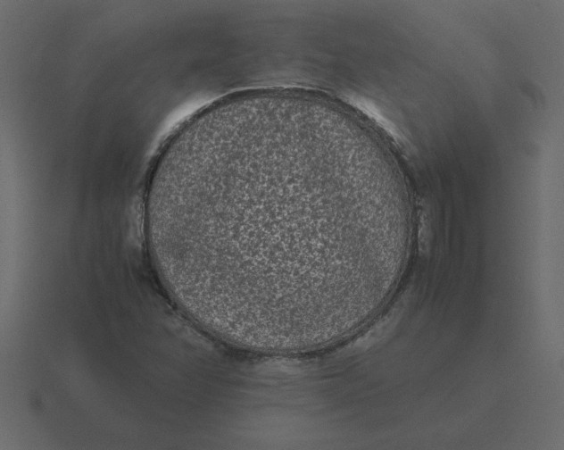X0000116601358200912241705