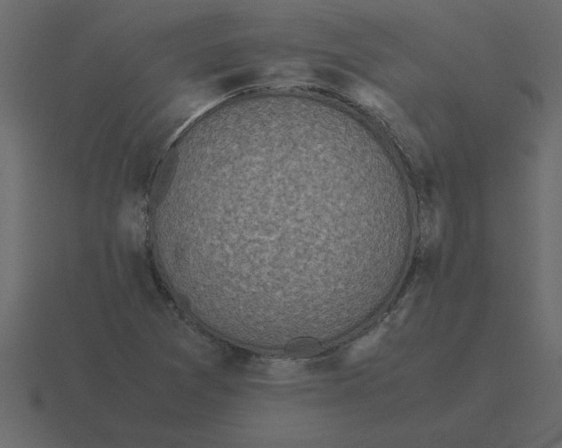 X0000116601361200912241705