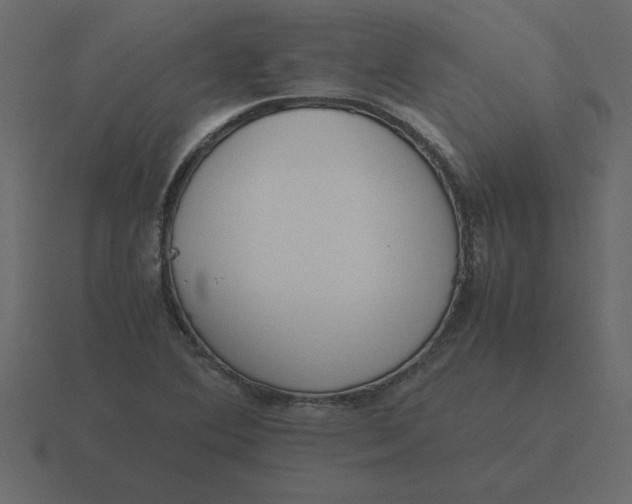X0000116601364200912241705