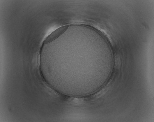 X0000116601365200912241705