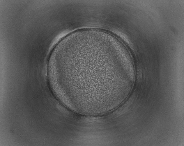 X0000116601366200912241705