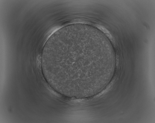 X0000116601369200912241705