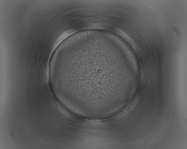 X0000116601370200912241705