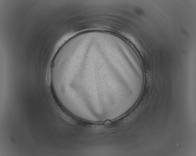 X0000116601371200912241705