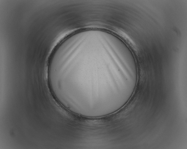 X0000116601376200912241705