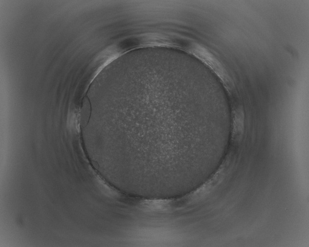 X0000116601377200912241705