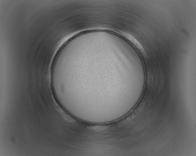 X0000116601380200912241705