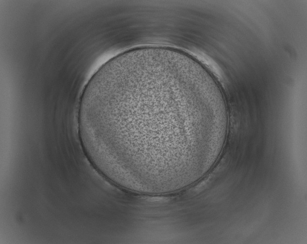 X0000116601382200912241705