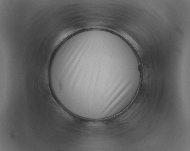 X0000116601384200912241705