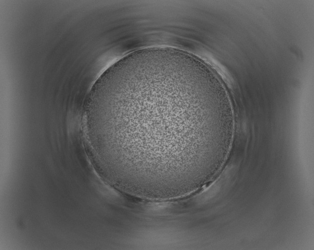 X0000116601385200912241705