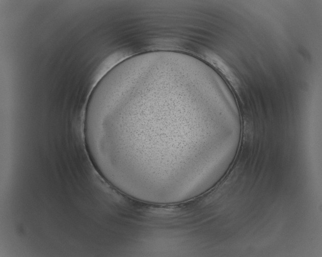 X0000116601386200912241705