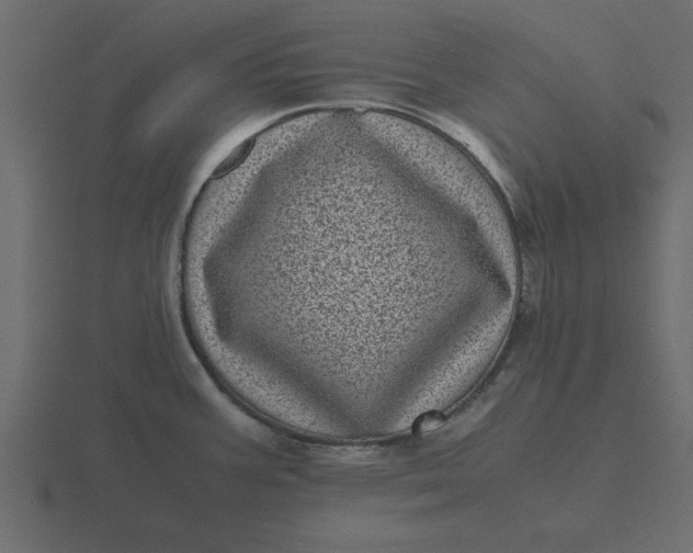 X0000116601387200912241705