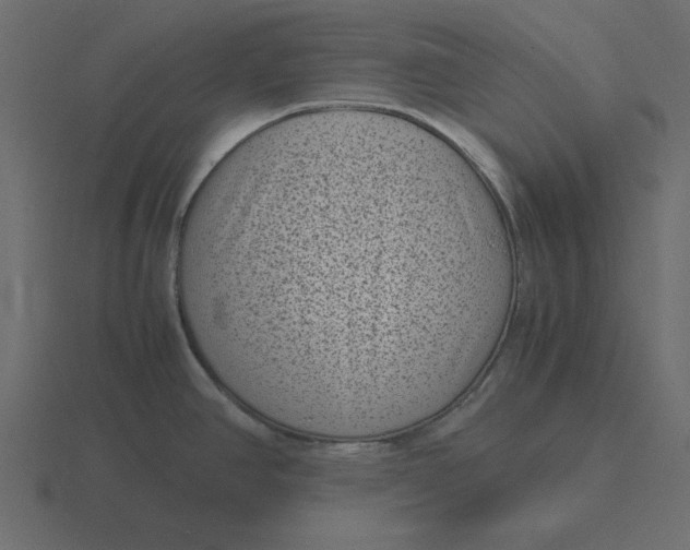 X0000116601390200912241705