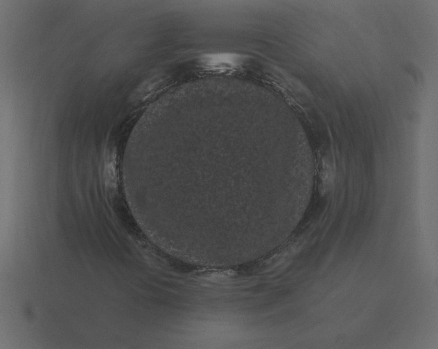 X0000116601394200912241704