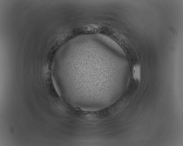 X0000116601395200912241704