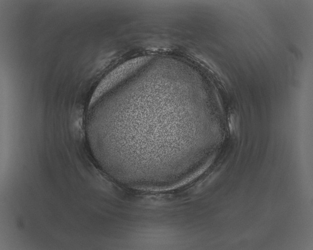 X0000116601396200912241704
