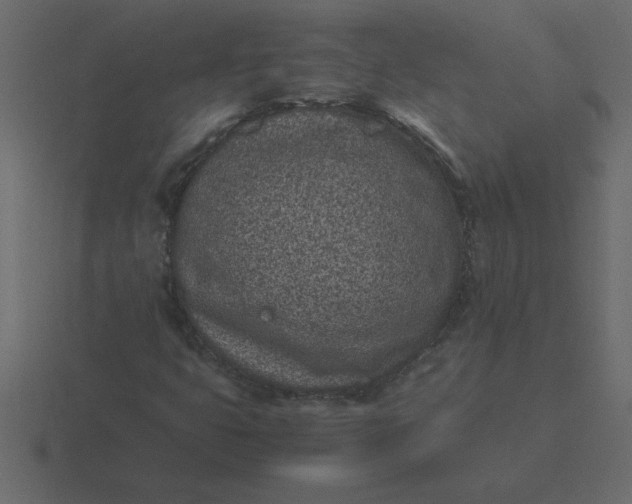 X0000116601399200912241704
