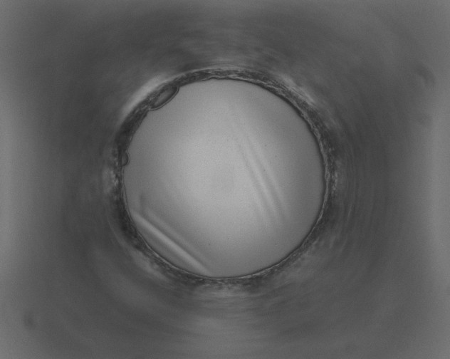 X0000116601400200912241704