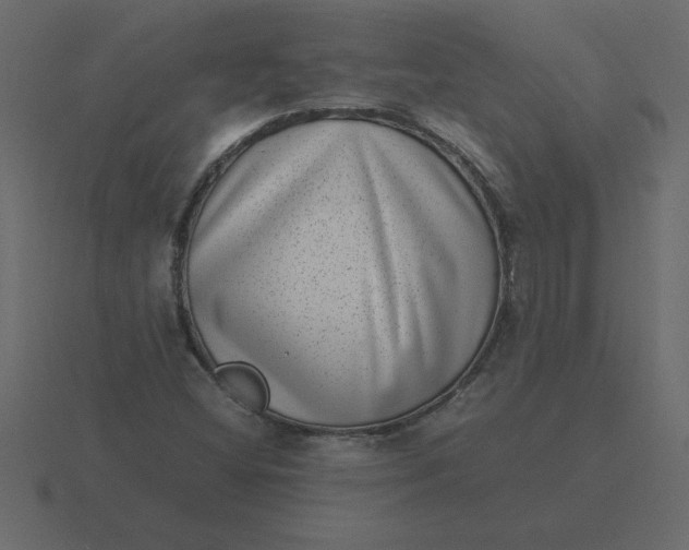 X0000116601404200912241705